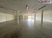 Pronájem - výrobní prostor, 750 m²