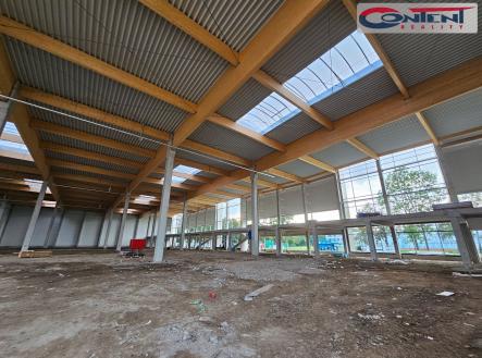 Pronájem - skladovací prostor, 2 559 m²