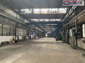 Pronájem - skladovací prostor, 1 009 m²