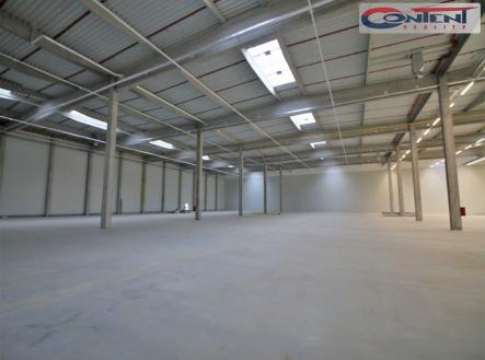 Pronájem - obchodní prostor, 13 751 m²