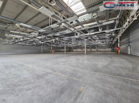 Pronájem - výrobní prostor, 19 555 m²