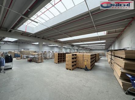 Pronájem - výrobní prostor, 11 000 m²