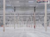 Pronájem - výrobní prostor, 5 000 m²