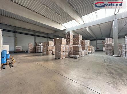 Pronájem - výrobní prostor, 1 000 m²