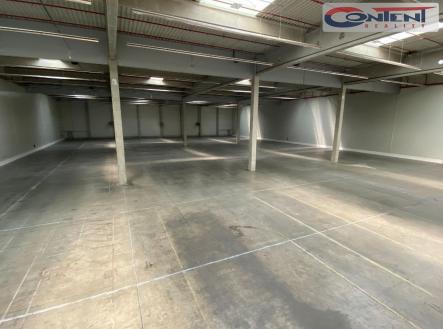 Pronájem - výrobní prostor, 4 890 m²