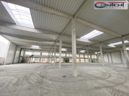 Pronájem - výrobní prostor, 7 258 m² obrázek