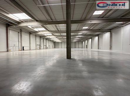 Pronájem - výrobní prostor, 3 000 m²
