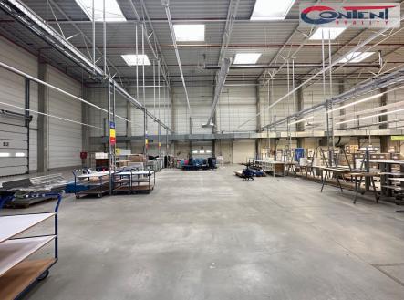 Pronájem - výrobní prostor, 4 100 m²