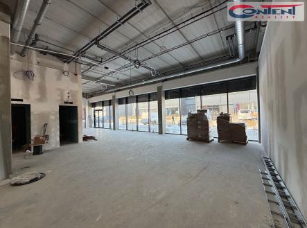 Pronájem - skladovací prostor, 1 250 m²