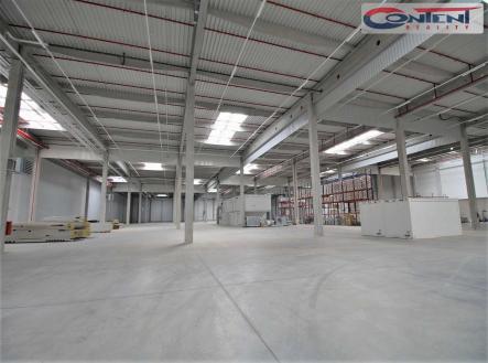 Pronájem - výrobní prostor, 12 120 m²