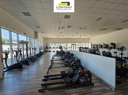 Pronájem - skladovací prostor, 961 m²