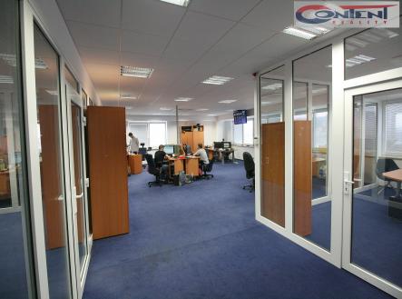 Pronájem - kanceláře, 262 m²