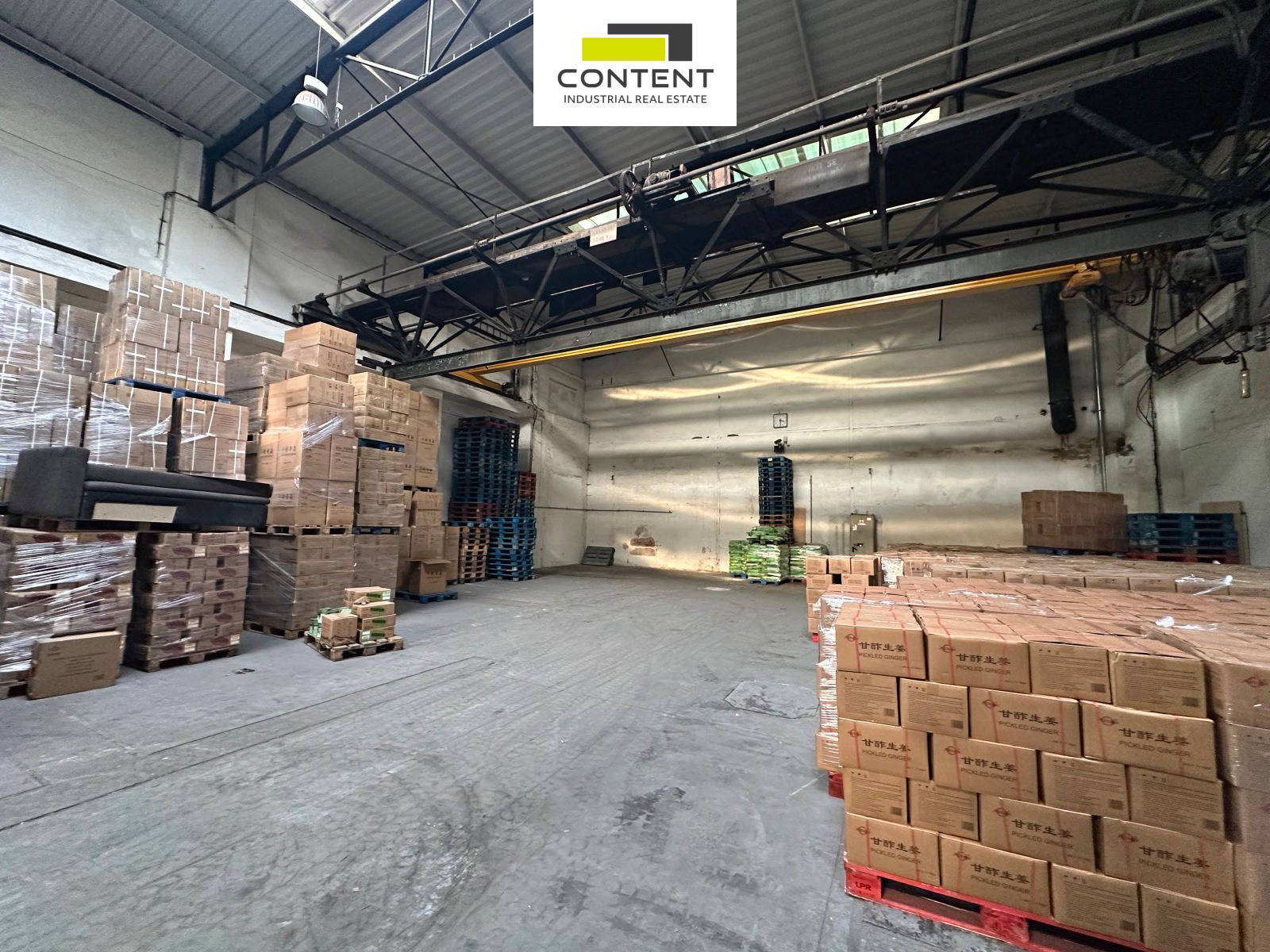 Pronájem skladu 1600 m², Praha - východ, Čelákovice