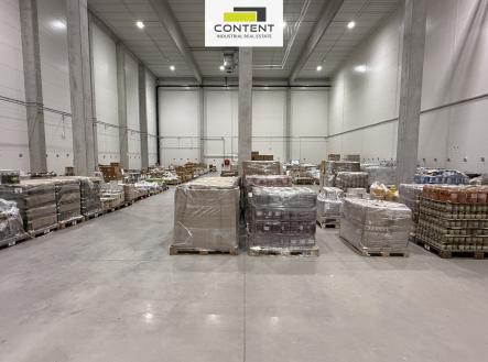 Pronájem - skladovací prostor, 1 000 m²