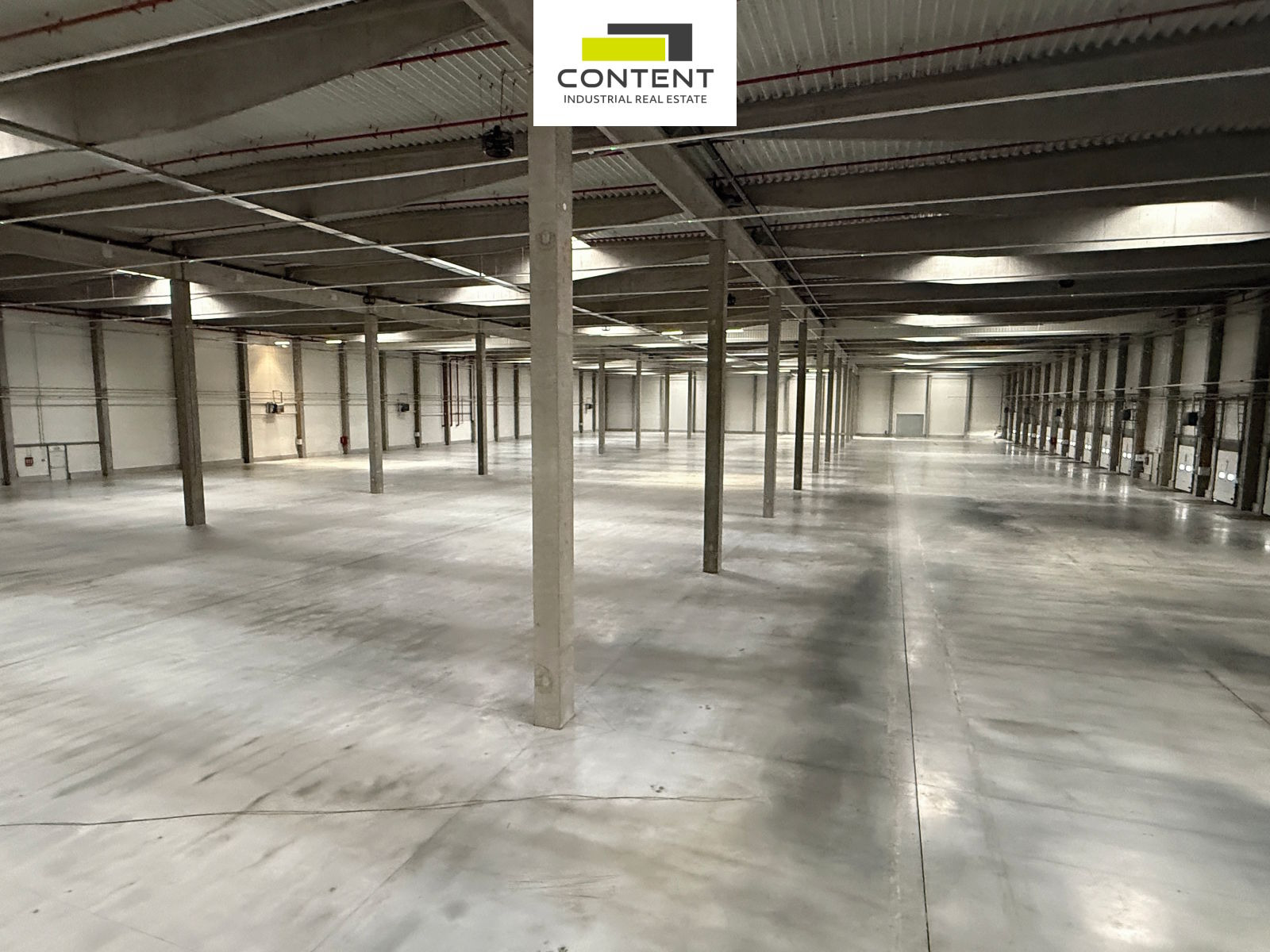Pronájem novostavby skladu, výrobních prostor 17.651 m², Ostrava, Hrušov, D1