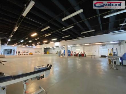 Prodej - skladovací prostor, 31 345 m²