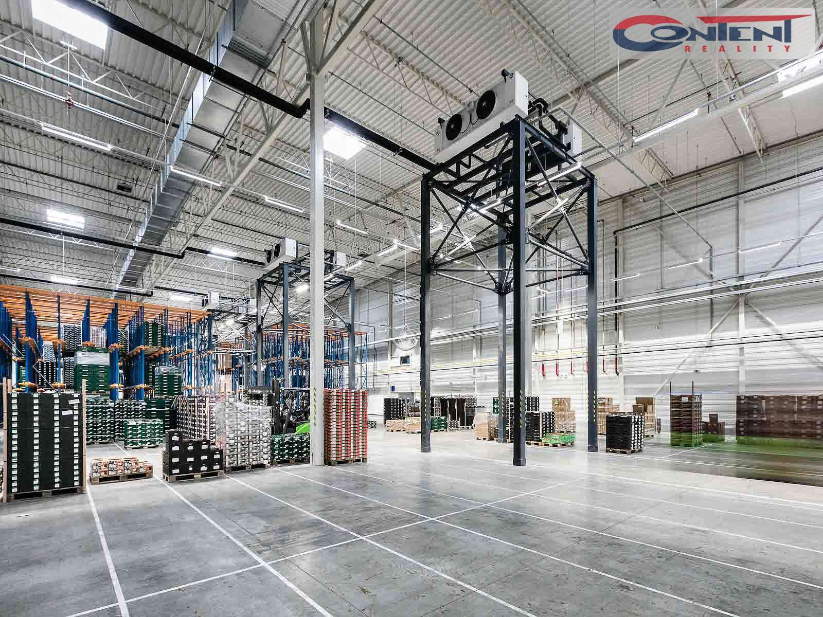 Pronájem skladu/výrobních prostor 5.325 m², Divišov - dálnice D1