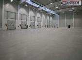 Pronájem - výrobní prostor, 3 838 m²