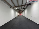 Pronájem - skladovací prostor, 600 m²