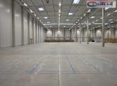 Pronájem - výrobní prostor, 5 000 m²