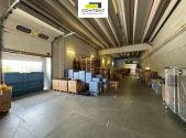 Pronájem - výrobní prostor, 4 000 m²