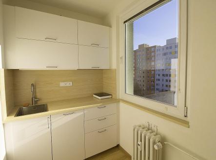 001.jpg | Pronájem bytu, 1+kk, 30 m²