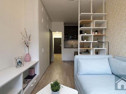 IMG_6318.jpg | Pronájem bytu, garsoniéra, 27 m²