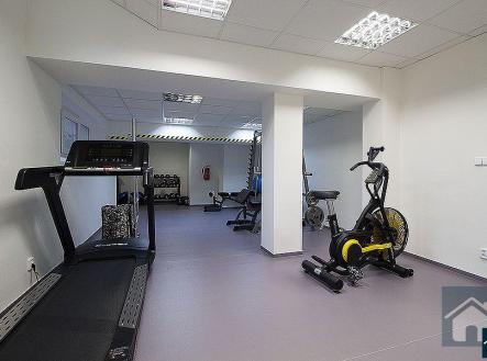 6 (1).jpg | Pronájem bytu, garsoniéra, 27 m²