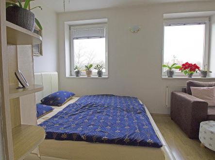 IMG_1619.jpg | Pronájem bytu, 1+kk, 33 m²