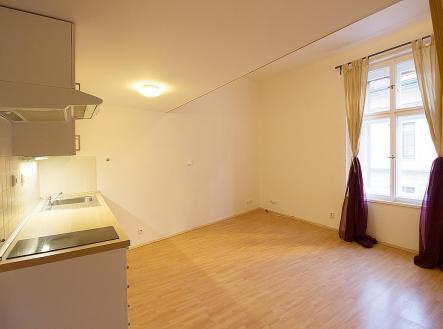 IMG_9578.JPG | Pronájem bytu, 1+kk, 27 m²