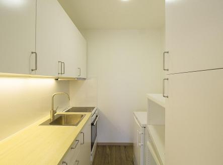 001.jpg | Pronájem bytu, 1+kk, 31 m²