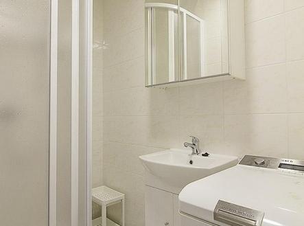 005.jpg | Pronájem bytu, 1+kk, 31 m²