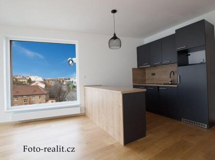 IMG_9379.jpg | Pronájem bytu, 1+kk, 45 m²
