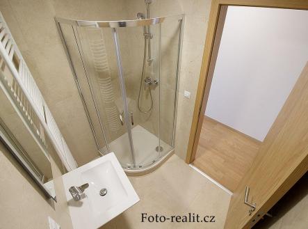 IMG_9392.jpg | Pronájem bytu, 1+kk, 45 m²