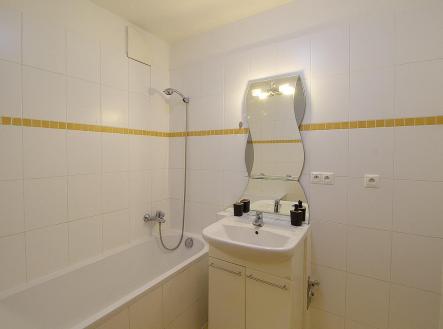 IMG_3752.jpg | Pronájem bytu, 2+kk, 55 m²