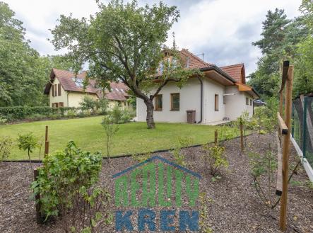 7P2A7411 | Pronájem - dům/vila, 248 m²