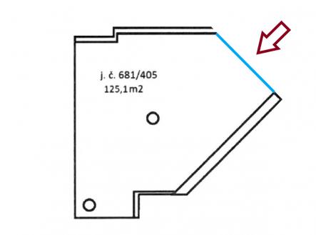 Layout | Pronájem - obchodní prostor, 125 m²