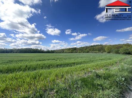 Prodej - pozemek pro bydlení, 900 m² obrázek