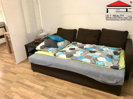 d9585163-ac28-4c32-a8b4-e14e39abad7f | Pronájem bytu, 1+kk, 43 m²