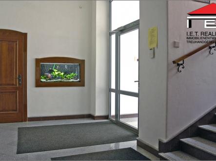 veleslavinova16 | Pronájem - kanceláře, 78 m²