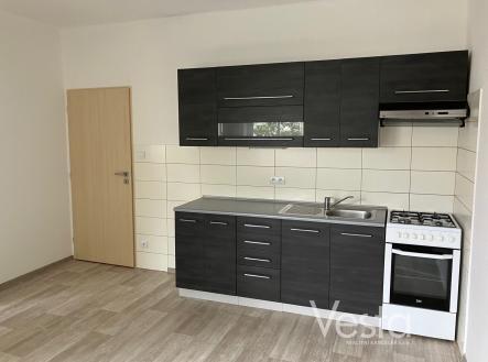 Pronájem bytu, 1+1, 49 m²