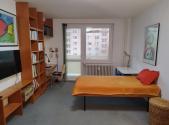 Pronájem bytu, 1+1, 41 m²
