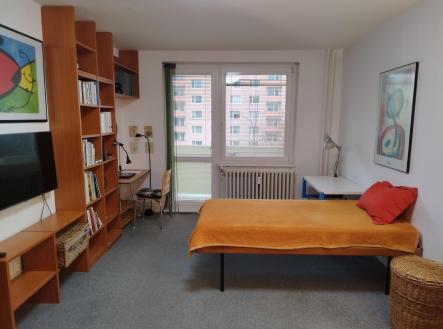 f1.jpg | Pronájem bytu, 1+1, 41 m²