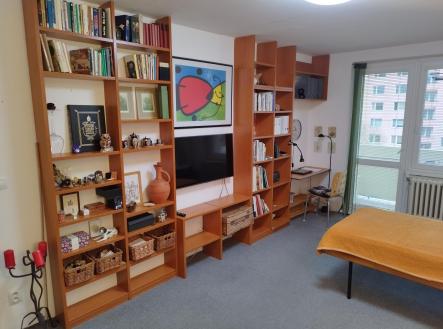 f2.jpg | Pronájem bytu, 1+1, 41 m²