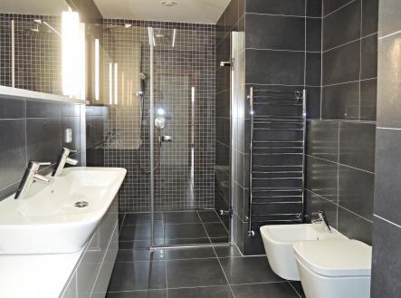 DSCN6070.JPG | Pronájem bytu, 3+kk, 99 m²