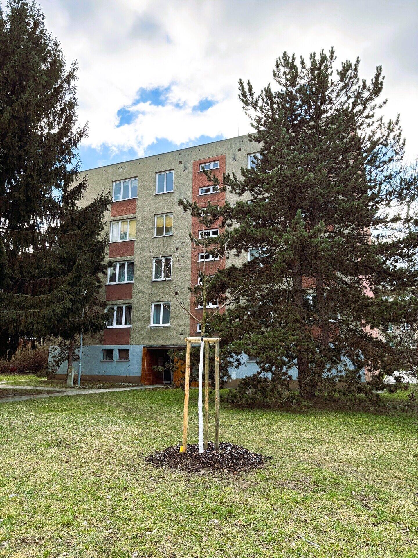 Pronájem 3+1 Horní, Brno - Štýřice