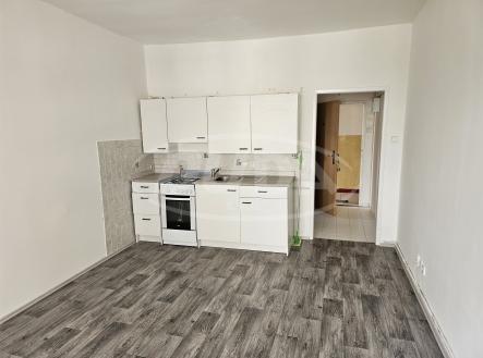 Pronájem bytu, 1+kk, 24 m² obrázek