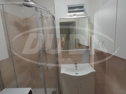 Obrázek k zakázce č.: 728491 | Pronájem bytu, 1+kk, 17 m²