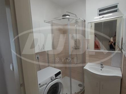 Obrázek k zakázce č.: 728491 | Pronájem bytu, 1+kk, 17 m²