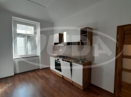 Pronájem bytu, 1+1, 47 m² obrázek